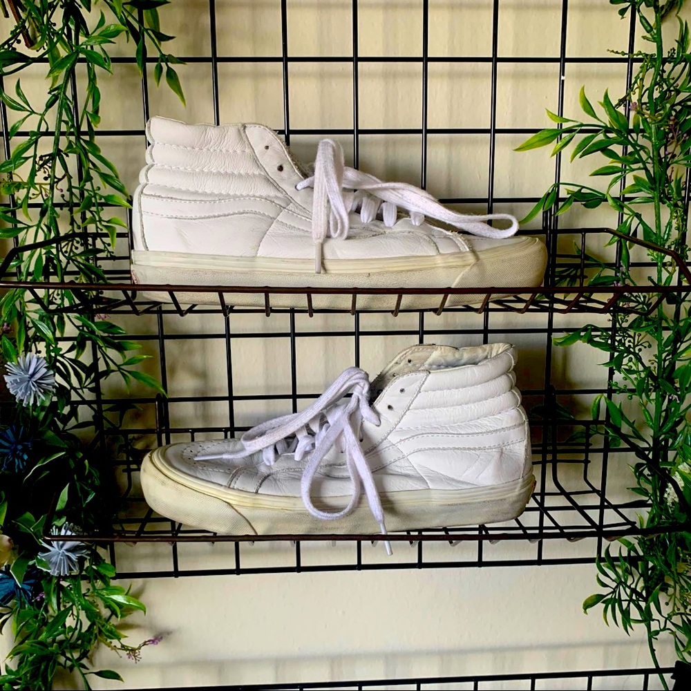 Hi Top Vans